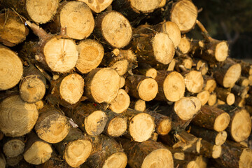 Round sections of logs in a stack with firewood close-up - wooden rural background. Cottage core,...