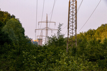 Hochstromleitung zu Kraftwerk durch grünen Wald