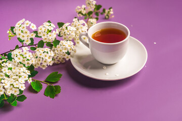 Floral spring composition and a mug of tea on a purple background, top view, copy space
