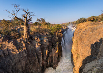 Fototapeta na wymiar A lone baobab hangs on edge of the rocky Kunene river canyon at the Epupa falls, Kaokoveld, Namibia/Angola border. 