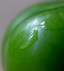 close-up organic and fresh green plum