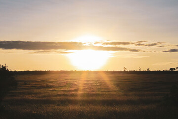 Maasai Mara National Park Safari Tour