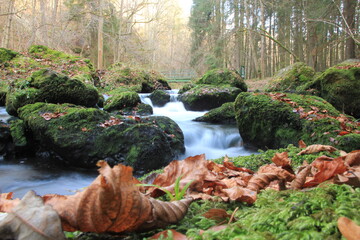 Herbst im vogtländischen Triebtal nahe der Talsperre Pöhl.