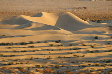 sand dunes