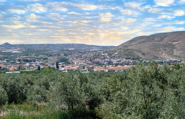 Andalusian agriculture