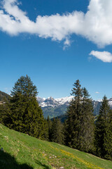 Fronalpstock