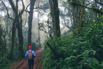 Kilimanjaro Besteigung