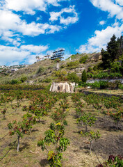 Fototapety na wymiar - Fototapeta24.pl