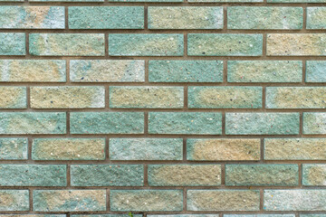The texture of the decorative brickwork is green, background