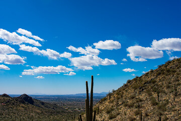 Fototapeta na wymiar Desert Hills and Cactus Outside of Phoenix, Arizona