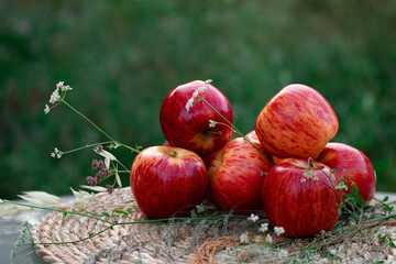 apples on the table on a green background