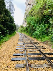 Obraz premium railway in the countryside