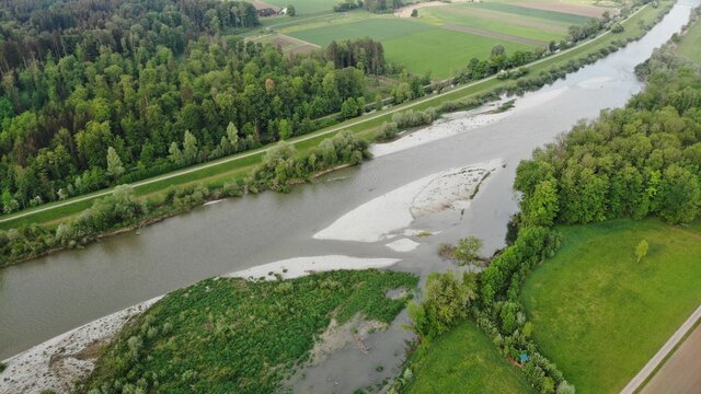 Der Fluss Thur im Naturschutzgebiet Schaff&auml;uli 