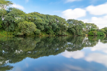 Fototapeta na wymiar Reflection of trees in the lake. Long exposure