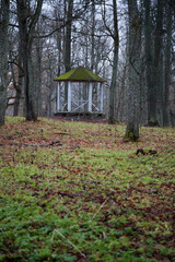 gazebo in the forest in the autumn season