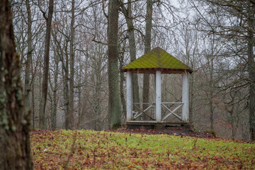 gazebo in the forest in the autumn season