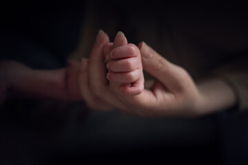 Newborn Baby and Mama's Hands
