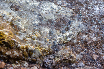 Wet marble stones close-up on wild mediterranean sea pebble beach. Tide on rocky shore in clear water with sun beam. Travel Greece near Athens. Natural macro patterns