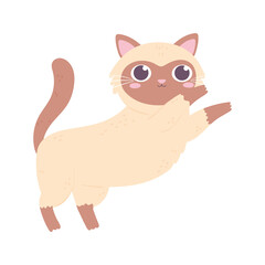 Obraz na płótnie Canvas cute kitty cartoon