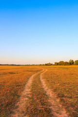 Rural road in the summer for background