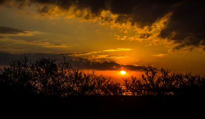 Fototapeta premium Orange sunset