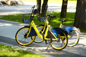 bicycles are parked in the city park. which can be rented
