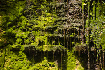 Mossy Rockface Waterfall Seeping