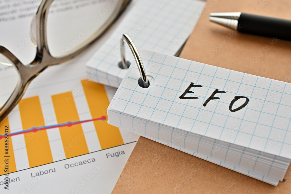 Poster there is a word book with the word of efo which is an abbreviation for entry form optimization on th