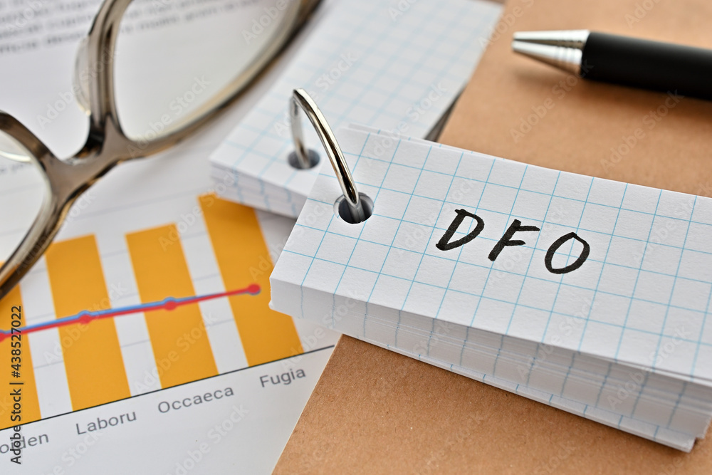 Poster there is a word book with the word of dfo which is an abbreviation for data feed optimization on the