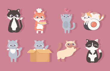 Fototapeta premium set cute kitty