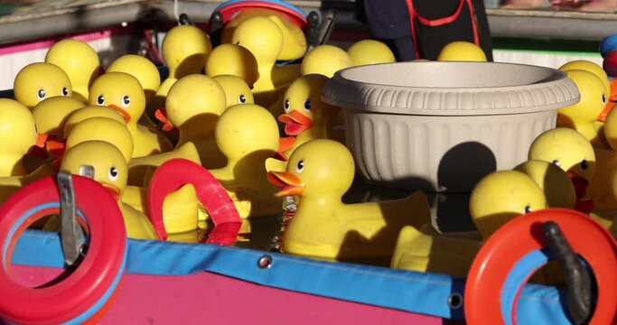  Yellow rubber birds circulating in a carnival game pond.
