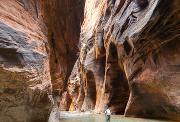 Strolling down the Narrows at Zion National Park - a beautiful spring morning