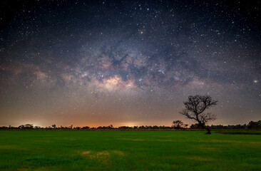 Milky way with stars over rice field.with grain and select white balance.White clouds obscured and...