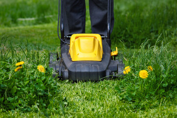 Gardener mowing grass in backyard with electric mower, front view