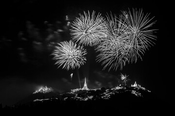 Black and white fireworks