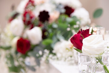 Red and white flowers on Takasago