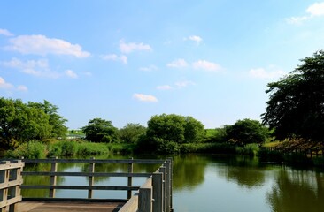 爽やかな 初夏 風景