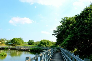 初夏　緑　橋　風景