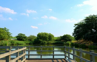 初夏　緑　橋　風景