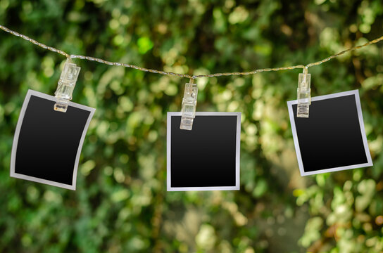 Polaroid photos hanging in the park. Graphic resources. Photographs