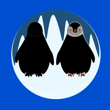 two penguins