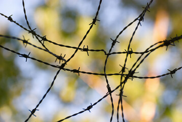 Fototapeta na wymiar Barbed wire in focus separating us from nature