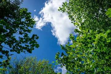 Frühling Stock-Foto 14