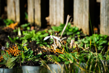 Frühling Stock-Foto 40