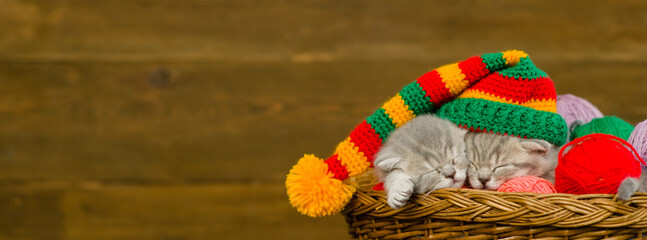 Cozy kittens wearing warm hat sleep together inside a basket on clews of thread. Empty space for text