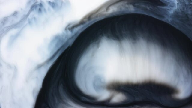 Abstract black paint wave running across white liquid. Beautiful color swirl in motion.