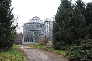 Obraz premium Coniferous plants are planted near the glass building of the greenhouse in the botanical garden