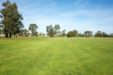 Fototapeta na wymiar Background texture of a large public local park with green and healthy grass and with some trees and residential houses in the distance. Melbourne, VIC Australia