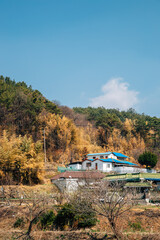 Pangyo countryside village in Seocheon, Korea