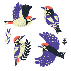 Woodpeckers set isolated on white background. Vector graphics.
